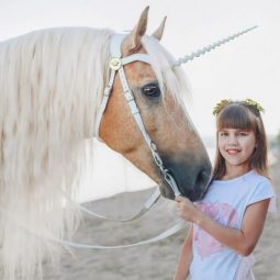 Катание на пони и лошадях