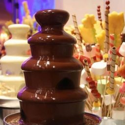 Шоколадный фонтан