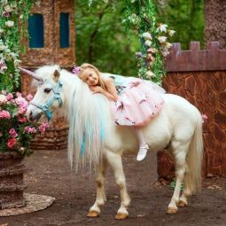 Катание на пони и лошадях