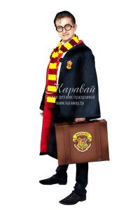 Аниматор Гарри Потер