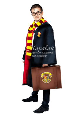 Аниматор Гарри Потер