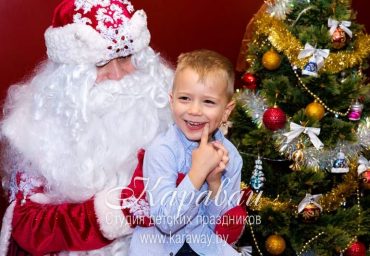 Дед Мороз и Снегурочка на дом